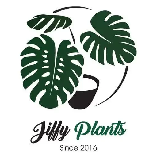 Jiffy Plants