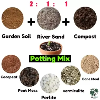 Potting Mix