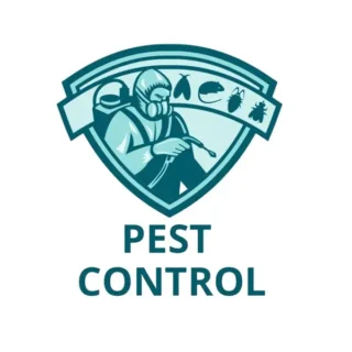 Insecticide