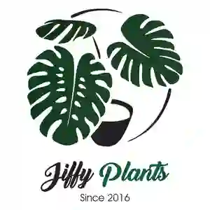 Jiffy Plants