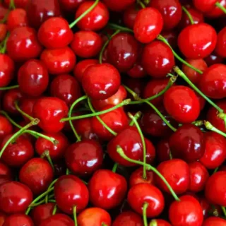West Indian Cherry