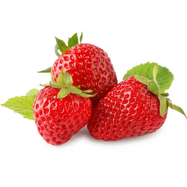 Strawberry Plant