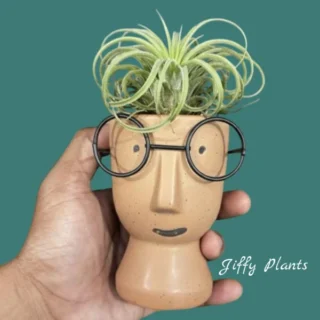 Cute Human Face Ceramic Planter