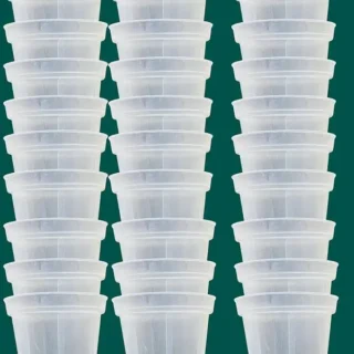 2.5” transparent pot