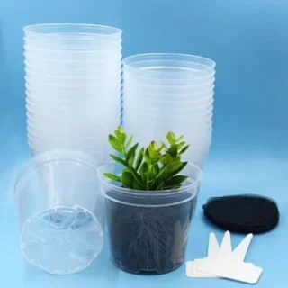 4” Transparent Pot