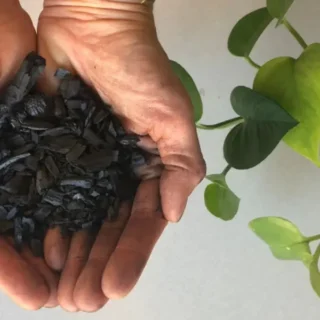 Pure Charcoal – Potting Mix Ingredient